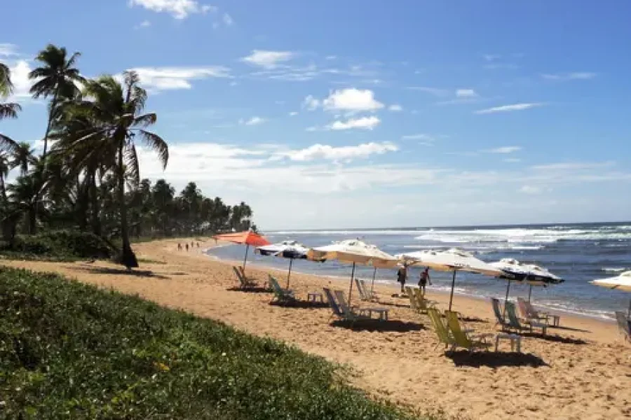 Praia do Forte Noviembre 2024