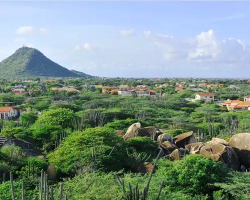 Aruba Riu Palace todo incluido