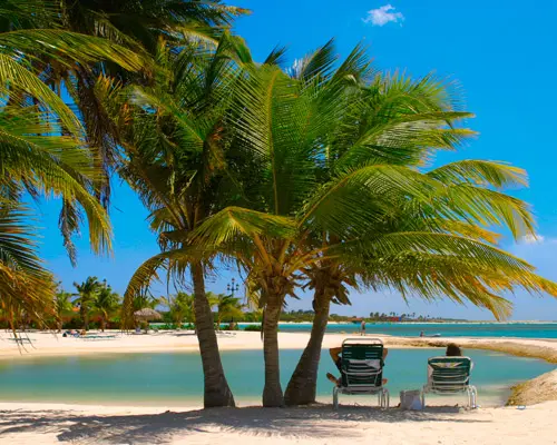 Aruba Riu Palace todo incluido